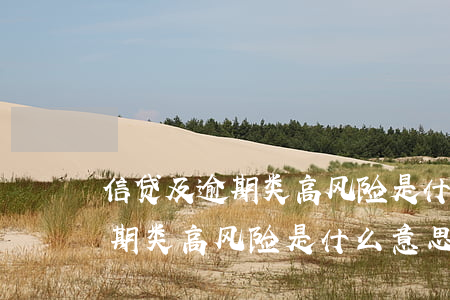 信贷及逾期类高风险是什么意思-信贷及逾期类高风险是什么意思啊