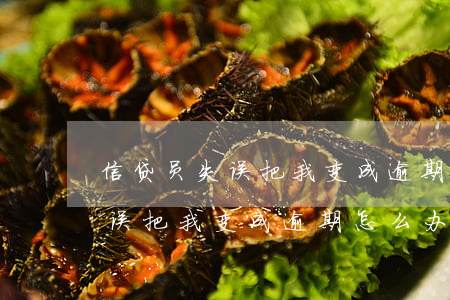 信贷员失误把我变成逾期怎么办-信贷员失误把我变成逾期怎么办呢