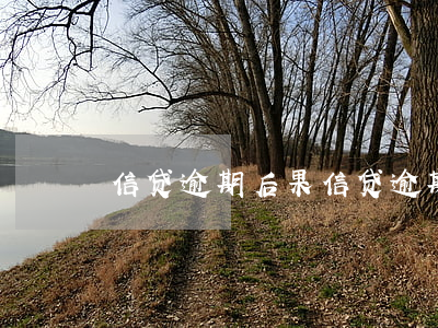 信贷逾期后果(信贷逾期后果)