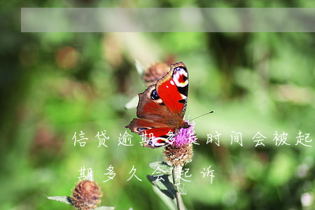信贷逾期多长时间会被起诉(银行贷款到期逾期多久会起诉)