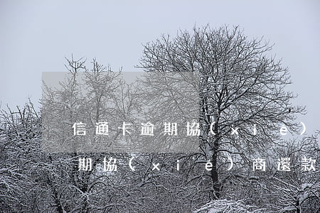 信通卡逾期協(xié)商還款-信用卡逾期協(xié)商還款