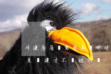修建房屋時需要具備哪些手續(xù)才不是違建,才不會被拆違