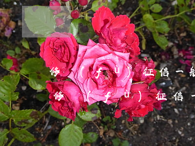 修復(fù)征信一般怎么收費(fèi)（修復(fù)征信一般怎么收費(fèi)）