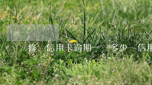 修復信用卡逾期一條多少錢(信用卡 逾期 費用)