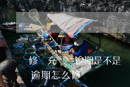 修復充電寶逾期是不是補會芝麻分-充電寶逾期怎么修復