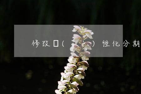 修改個(gè)性化分期期數(shù)