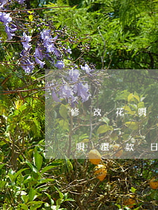 修改花唄還款日可以延期多少天還-修改花唄還款日可以延期多少天還款呢