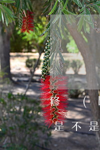 修補(bǔ)逾期后-逾期修復(fù)完是不是可以用了