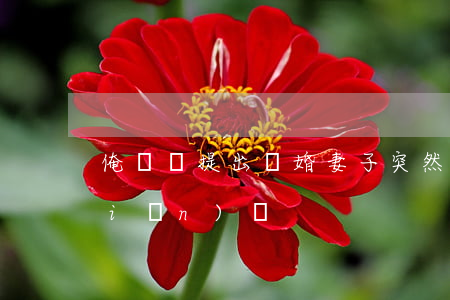 俺氣憤提出離婚(妻子突然提出離婚很堅(jiān)決)