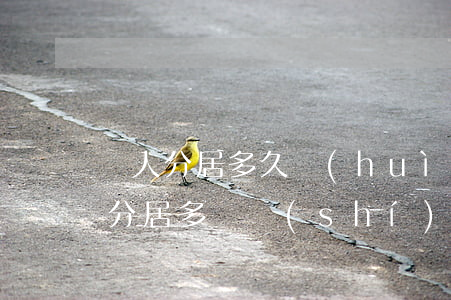 倆人分居多久會(huì)判離婚(婚姻雙方分居多長時(shí)間法院就可以判處離婚)