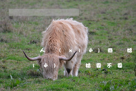 倆人協(xié)商離婚要戶口本嗎(協(xié)議離婚要不要戶口本)