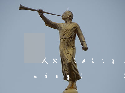倆人欠網(wǎng)貸可以不還嗎(欠網(wǎng)貸兩個(gè)月一起還可以嗎?)