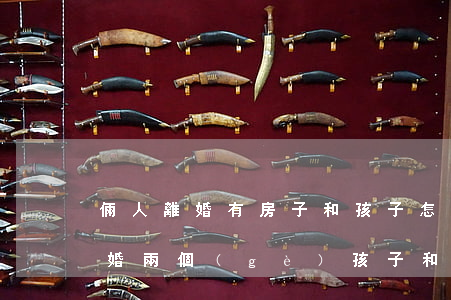 倆人離婚有房子和孩子怎么分(如果和老公離婚,兩個(gè)孩子和房子咋樣分離?)