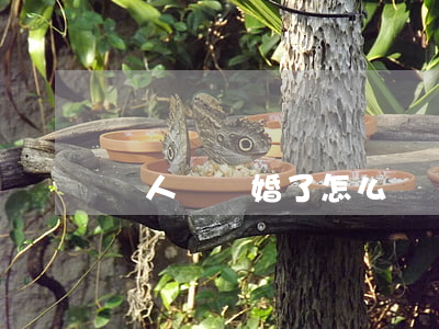 倆人鬧離婚了怎么辦