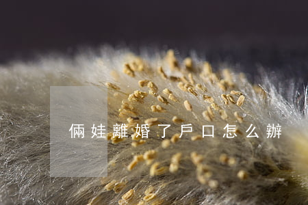 倆娃離婚了戶口怎么辦