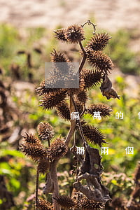 倆萬的信用卡逾期一個月(信用卡欠款兩萬逾期兩個月)