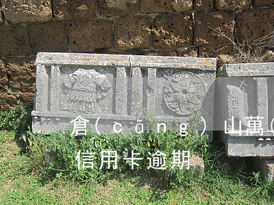 倉(cāng)山萬(wàn)達(dá)信用卡逾期