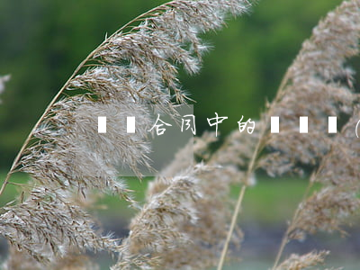 倉儲合同中的違約責(zé)任包括哪些