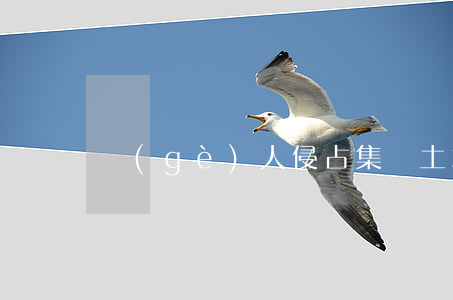 個(gè)人侵占集體土地該如何處罰