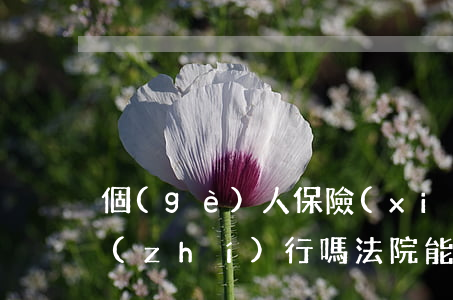個(gè)人保險(xiǎn)法院可以執(zhí)行嗎(法院能強(qiáng)制執(zhí)行保險(xiǎn)嗎)