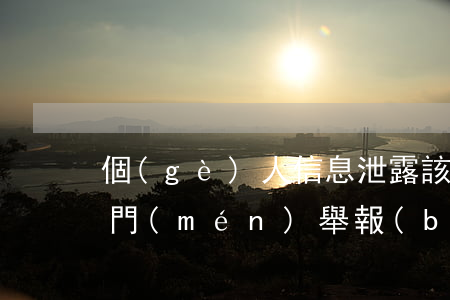 個(gè)人信息泄露該向哪個(gè)部門(mén)舉報(bào)