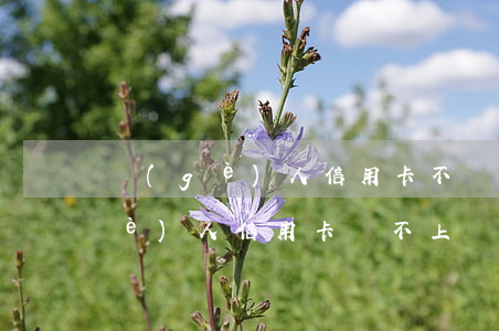 個(gè)人信用卡不還怎么辦(如果個(gè)人信用卡還不上,會如何)