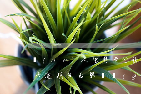 個(gè)人信用卡借款逾期了(有一次信用卡逾期是否影響個(gè)人貸款)