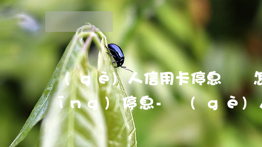 個(gè)人信用卡停息掛賬怎么申請(qǐng)停息-個(gè)人信用卡停息掛賬怎么申請(qǐng)停息還本
