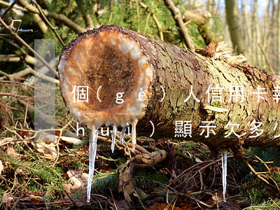 個(gè)人信用卡報(bào)告上會(huì)顯示欠多少錢-個(gè)人信用卡報(bào)告上會(huì)顯示欠多少錢嗎