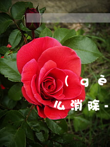 個(gè)人信用卡有一個(gè)逾期怎么消除-個(gè)人信用逾期多久消除,會(huì)有什么影響