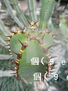 個(gè)人信用卡有逾期可以辦貸款嗎-個(gè)人信用卡有逾期可以辦貸款嗎知乎