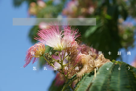個(gè)人信用卡超過(guò)了逾期怎么辦(有過(guò)逾期記錄還可以申請(qǐng)信用卡嗎)