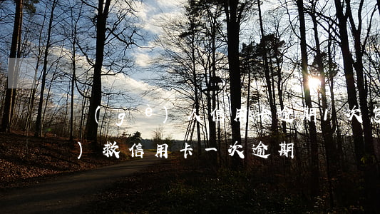 個(gè)人信用卡逾期1次怎么補(bǔ)救(信用卡 一次逾期)