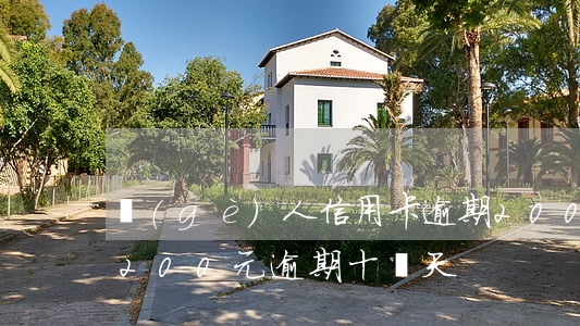 個(gè)人信用卡逾期200多元(信用卡200元逾期十幾天)