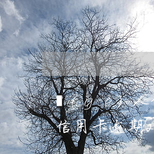 個(gè)人信用卡逾期2次（個(gè)人信用卡逾期2次）