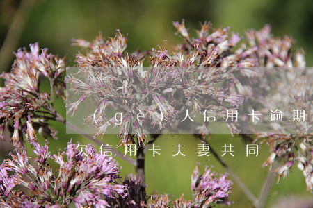 個(gè)人信用卡逾期不還是夫妻共同-欠信用卡夫妻共同債務(wù)嗎
