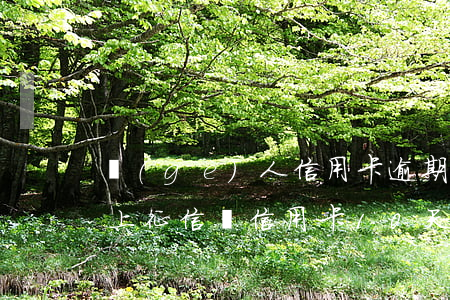 個(gè)人信用卡逾期十天會(huì)上征信嗎(信用卡10天逾期會(huì)不會(huì)影響征信)