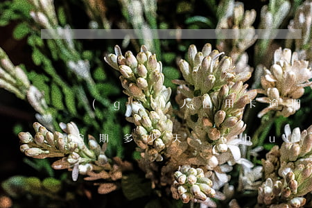 個(gè)人信用卡逾期多久上征信(信用卡逾期多少天會(huì)上征信)