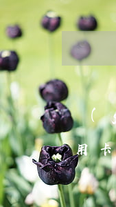 個(gè)人信用卡逾期多久可以清除(有信用卡逾期記錄多久可以消除)