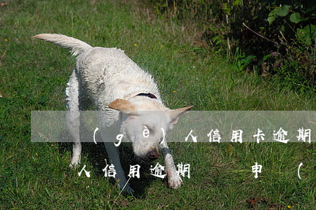 個(gè)人信用卡逾期寫理由(個(gè)人信用逾期異議申請(qǐng)范文)