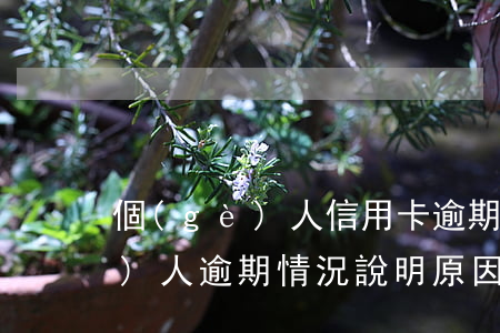 個(gè)人信用卡逾期情況說明(個(gè)人逾期情況說明原因)