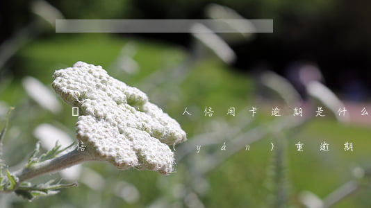 個(gè)人信用卡逾期是什么意思(什么叫信用卡嚴(yán)重逾期)