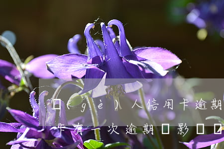 個(gè)人信用卡逾期會影響貸款嗎(信用卡有一次逾期會影響貸款嗎)