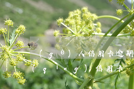 個(gè)人信用卡逾期未還款 逾期后申請(qǐng)信用卡