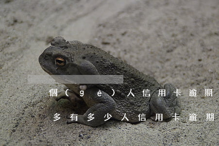 個(gè)人信用卡逾期次數(shù)過多(有多少人信用卡逾期半年以上的)