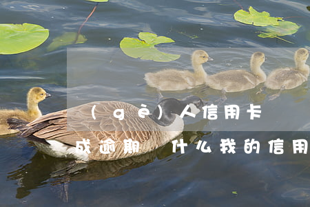 個(gè)人信用卡銷戶還會(huì)造成逾期(為什么我的信用卡顯示已銷戶)