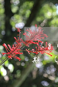 個(gè)人信用報(bào)告有房貸逾期(個(gè)人信用報(bào)告有逾期怎么辦)