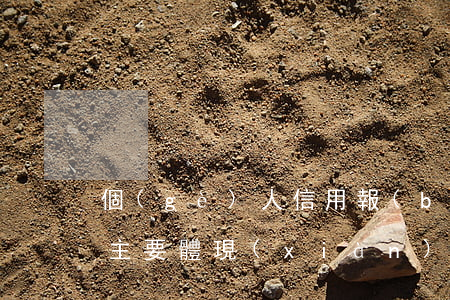 個(gè)人信用報(bào)告貸款逾期主要體現(xiàn)在-個(gè)人信用報(bào)告貸款逾期主要體現(xiàn)在哪些方面