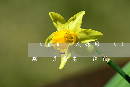 個(gè)人信用報(bào)告貸記卡逾期單月最高-征信貸記卡單月最高逾期