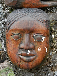 個(gè)人信用報(bào)告逾期(個(gè)人信用報(bào)告逾期信息匯總解讀)